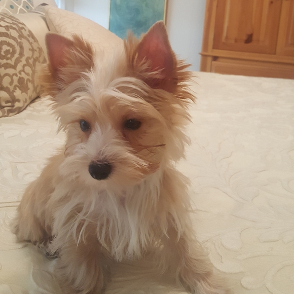 Meet your Posher, Terry - Picture 11 of 14